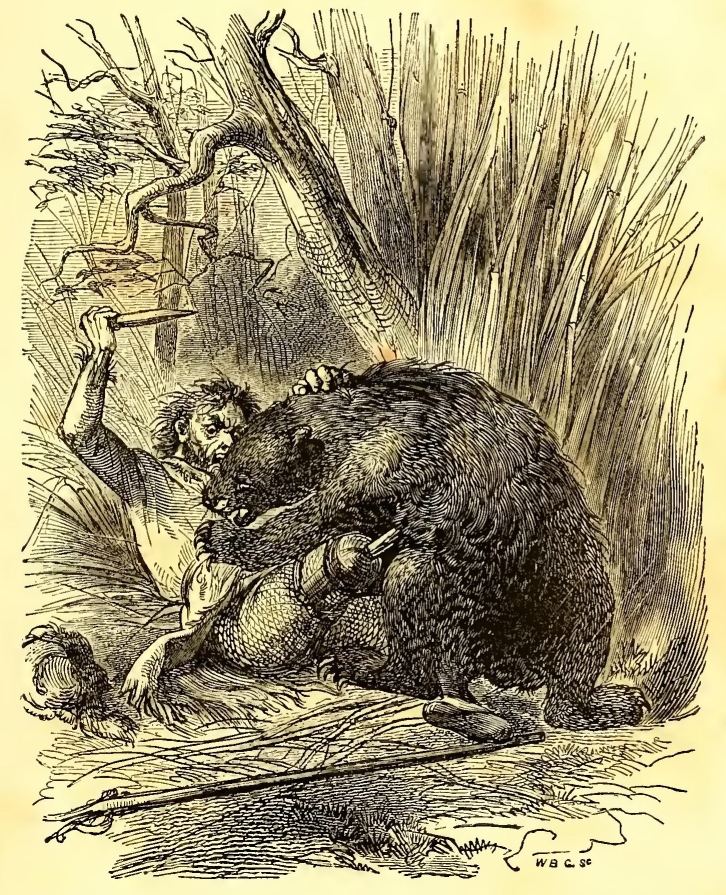 frontispiece2m