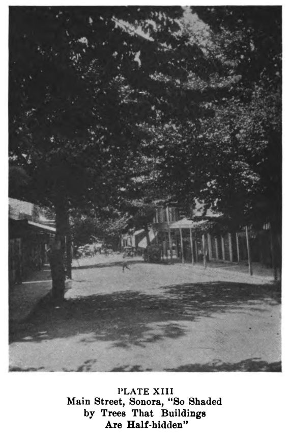 Sonora Plate13