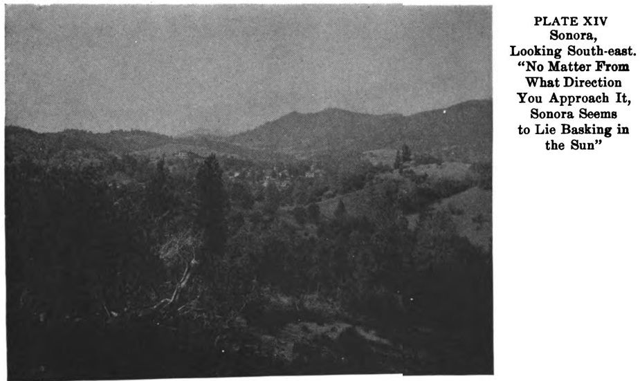 Sonora Plate14