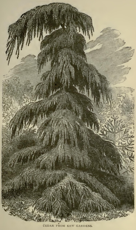 0169m