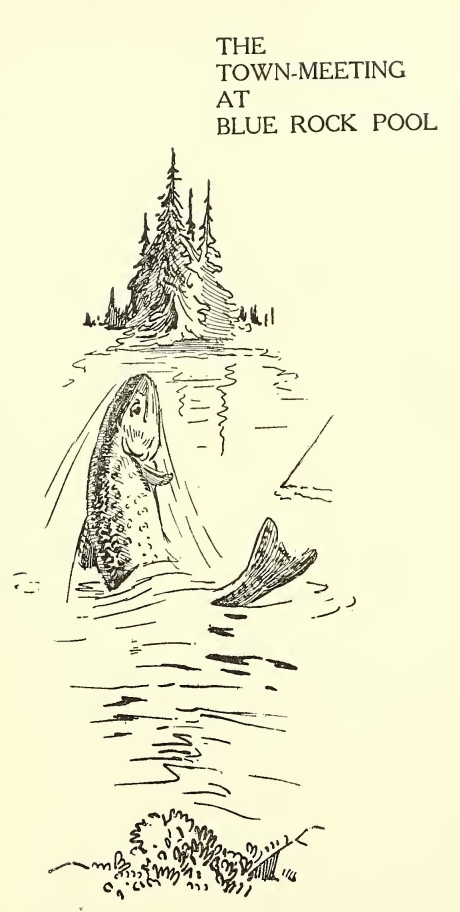 0043m