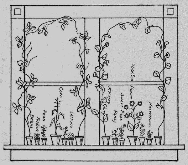 Davy's and
Prue's Window