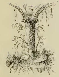 a9646 