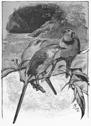 “Would you mind telling me, as I see you wag your own
tails so constantly and so nicely, why you do it?”&mdash;P. 170.