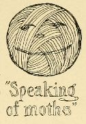 “Speaking
of moths”