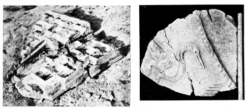Fig. 161.&mdash;SÂMARRÂ, STUCCO DECORATION.