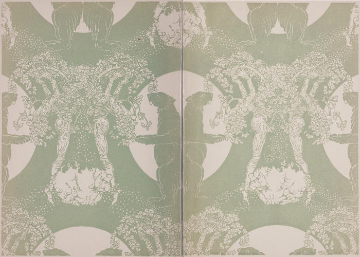 Illustrated endpapers