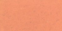 XIV_9′_b_Flesh_Ocher