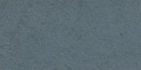 XLIX_49′′′′_i_Deep_Payne's_Gray