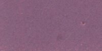 XXXVII_63′′_i_Livid_Purple