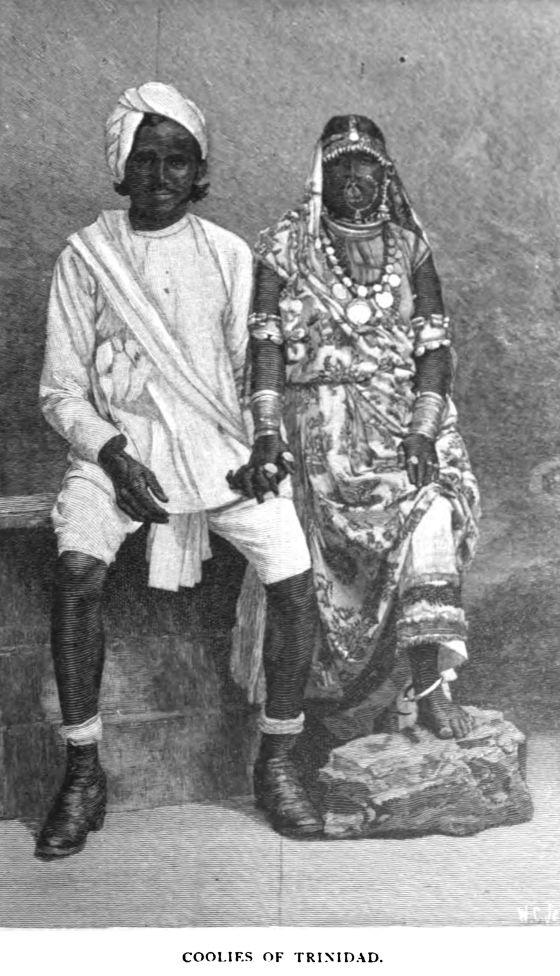 Coolies of Trinidad.