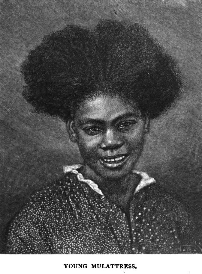 Young Mulattress.