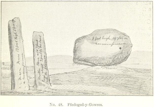 No. 48.  Ffedoged-y-Gowres