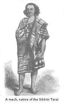 A mech, native of
the Sikkim Terai