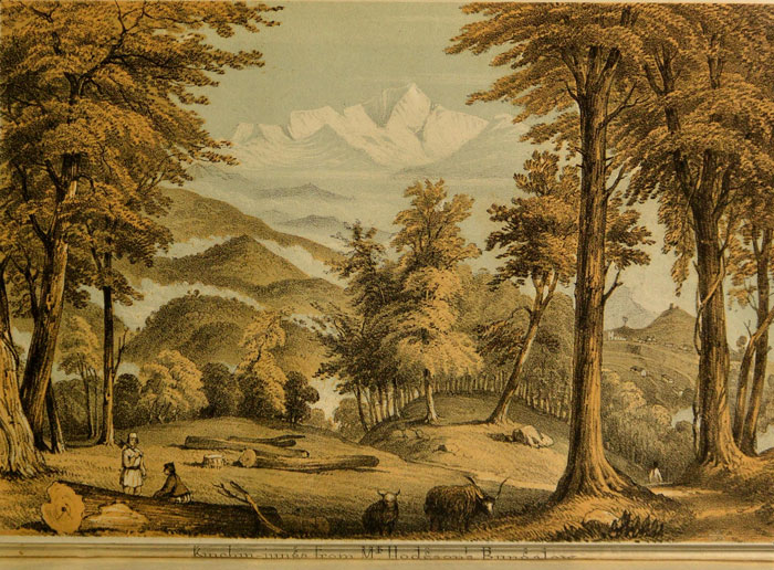 View of Kinchinjunga from
Singtam, looking north-westward