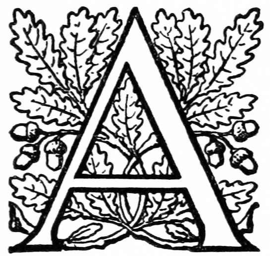 A A