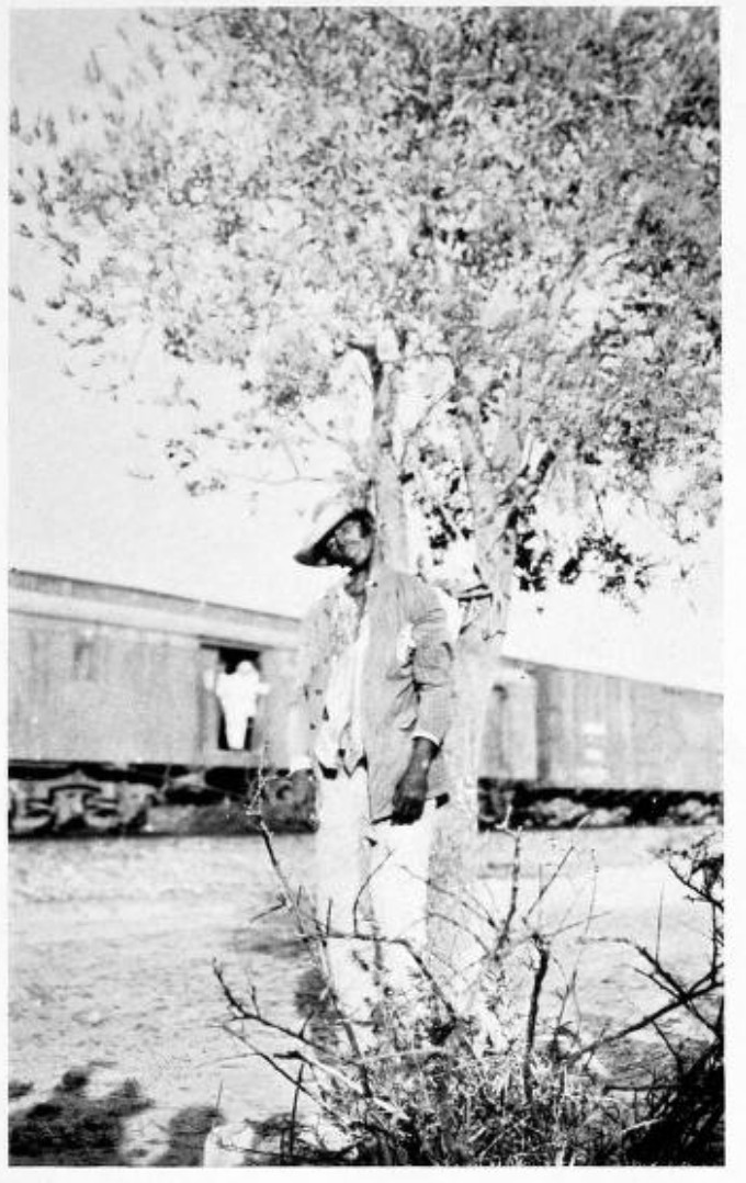 IN THE DAYS OF CARRANZA ONE FREQUENTLY SAW A BANDIT
HANGING AROUND THE RAILWAY