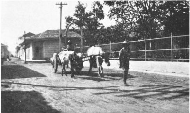 THE AMERICAN INTERVENTION HAD BROUGHT PEACE, BUT MANAGUA’S
DUSTY STREETS SUGGESTED NO PROSPERITY