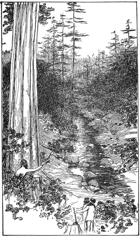 The day before, Massea and two men had gone to the hills to fell
the trees