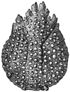 Fig. 1347.