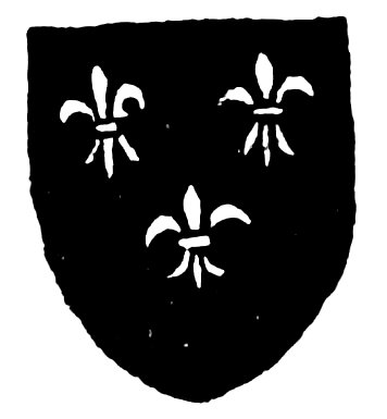 Cote Armour
