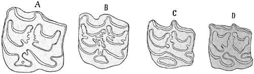 Fig. 645.