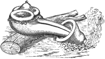 Fig. 8.