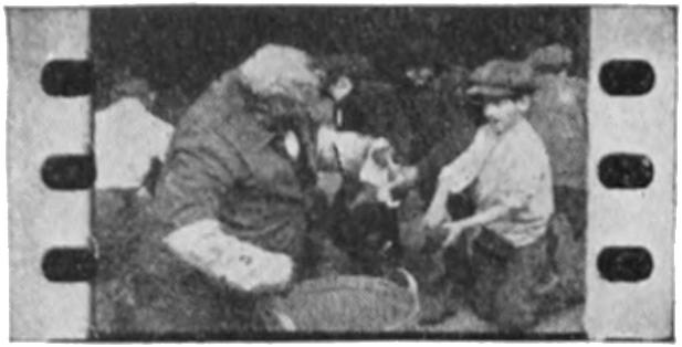 Single film picture