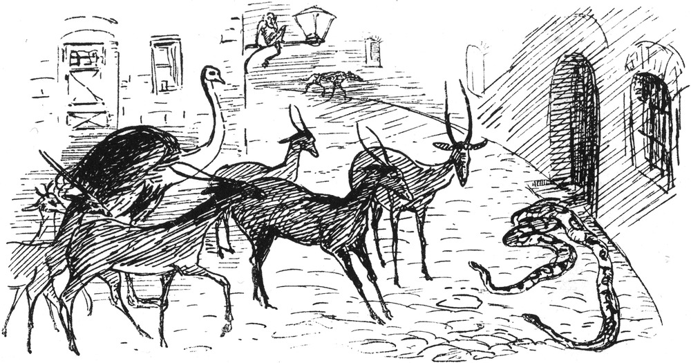 Wilde Tiere mitten in der
  Stadt