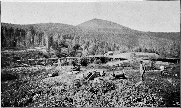 gold-mine