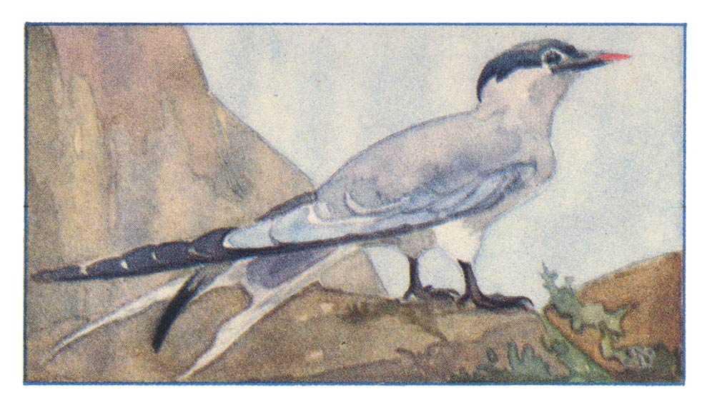 91