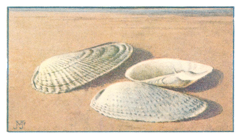 126