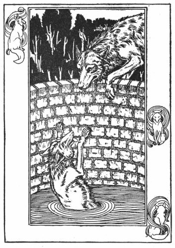 Wolf fox in well