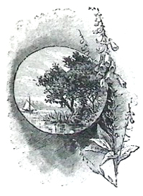 image009