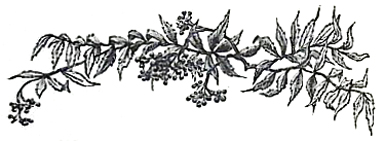 image014