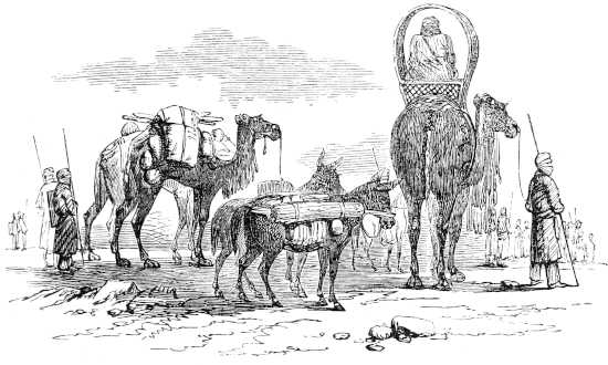 A Tawárek Camp in Motion