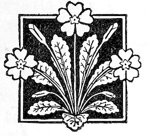 decorative
