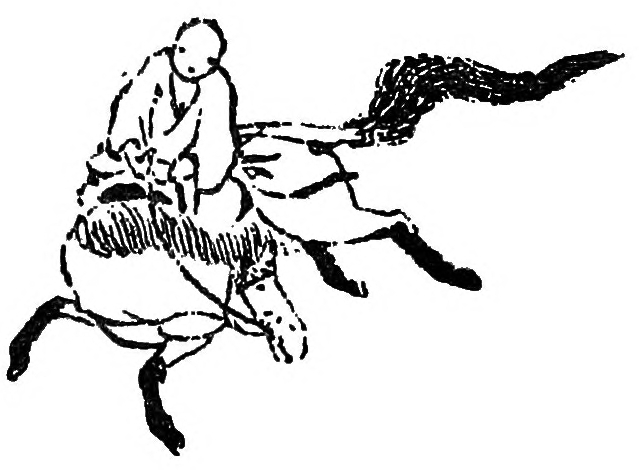 Rider on Horseback