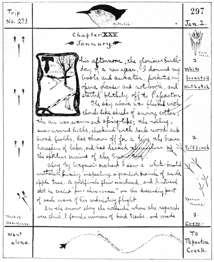 Field notes