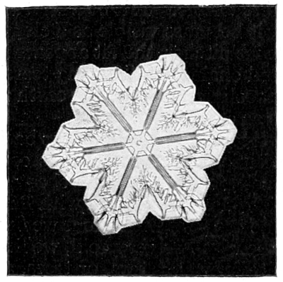 Snow crystal
