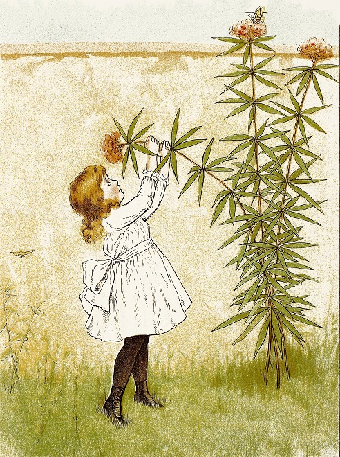 Little girl reaches up to the flower