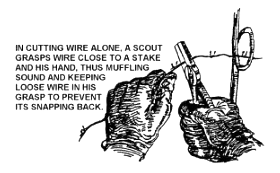 IN CUTTING WIRE ALONE, A SCOUT GRASPS WIRE CLOSE TO A STAKE AND HIS HAND, THUS MUFFLING SOUND AND KEEPING LOOSE WIRE IN HIS GRASP TO PREVENT ITS SNAPPING BACK.