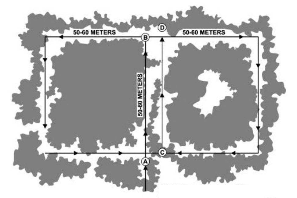 Sketch of the woods, indicated by two grey asymmetrical clumps, a route of travel using lines with arrows forming two side-by-side boxes surrounding the clumps of trees, and more amorphous grey clumps of woods outside and between the two boxes. Point A is identified at the lower right corner of the left box. Route proceeds 50-60 meters to the top of the box, to Point B. Route proceeds 50-60 meters to the left, turns 90 degrees to the left, proceeds 50-60 meters to the lower left corner, and turns left again, passing Point A. Point C is at the lower left corner of the right box; route of travel is upwards to the upper left corner of the right box, identified as Point D. Route proceeds to the right 50–60 meters, makes a right turn, proceeds to the lower right corner of the square, turns right to return to Point C, then turns right again, ending at Point D, at the top left corner of the right box.