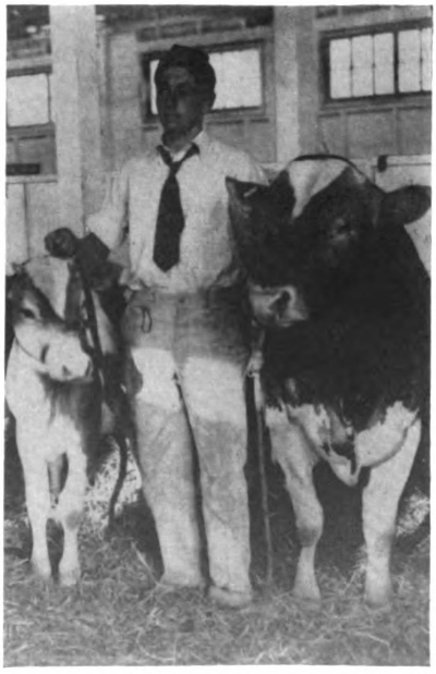 Picture of a young man with livestock