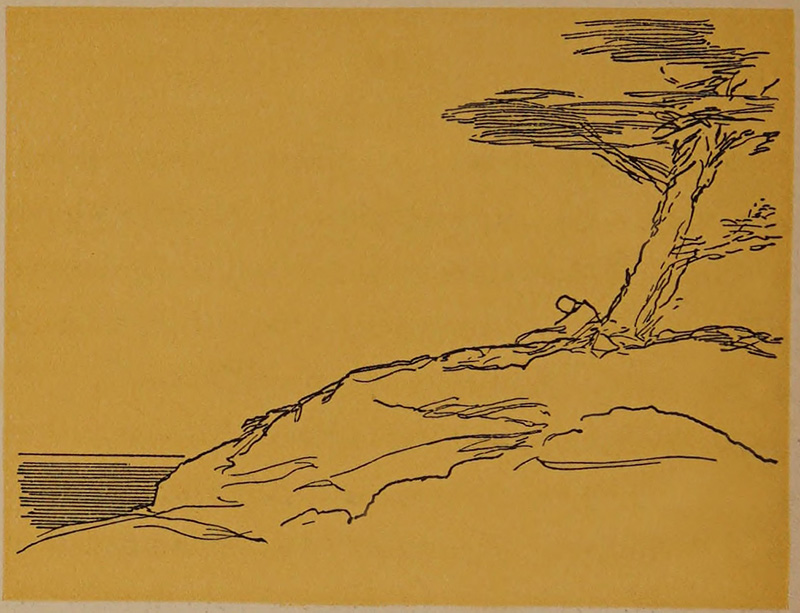 A leaning tree on a hill overlooking the sea