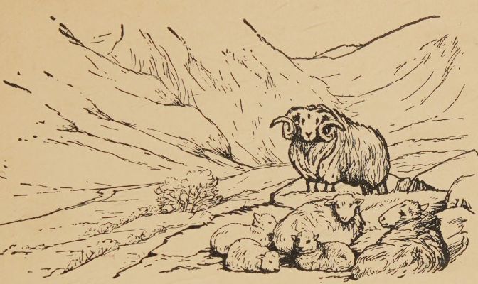 Habbitrot tells of a spinner.