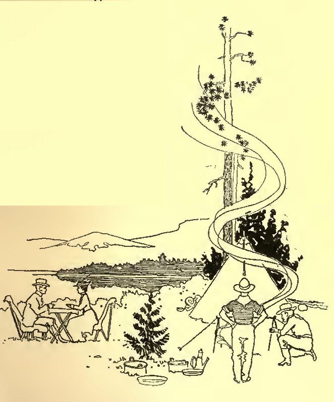 0023m
