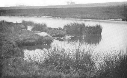 Illustration: Moorland
scene (with water): Haworth